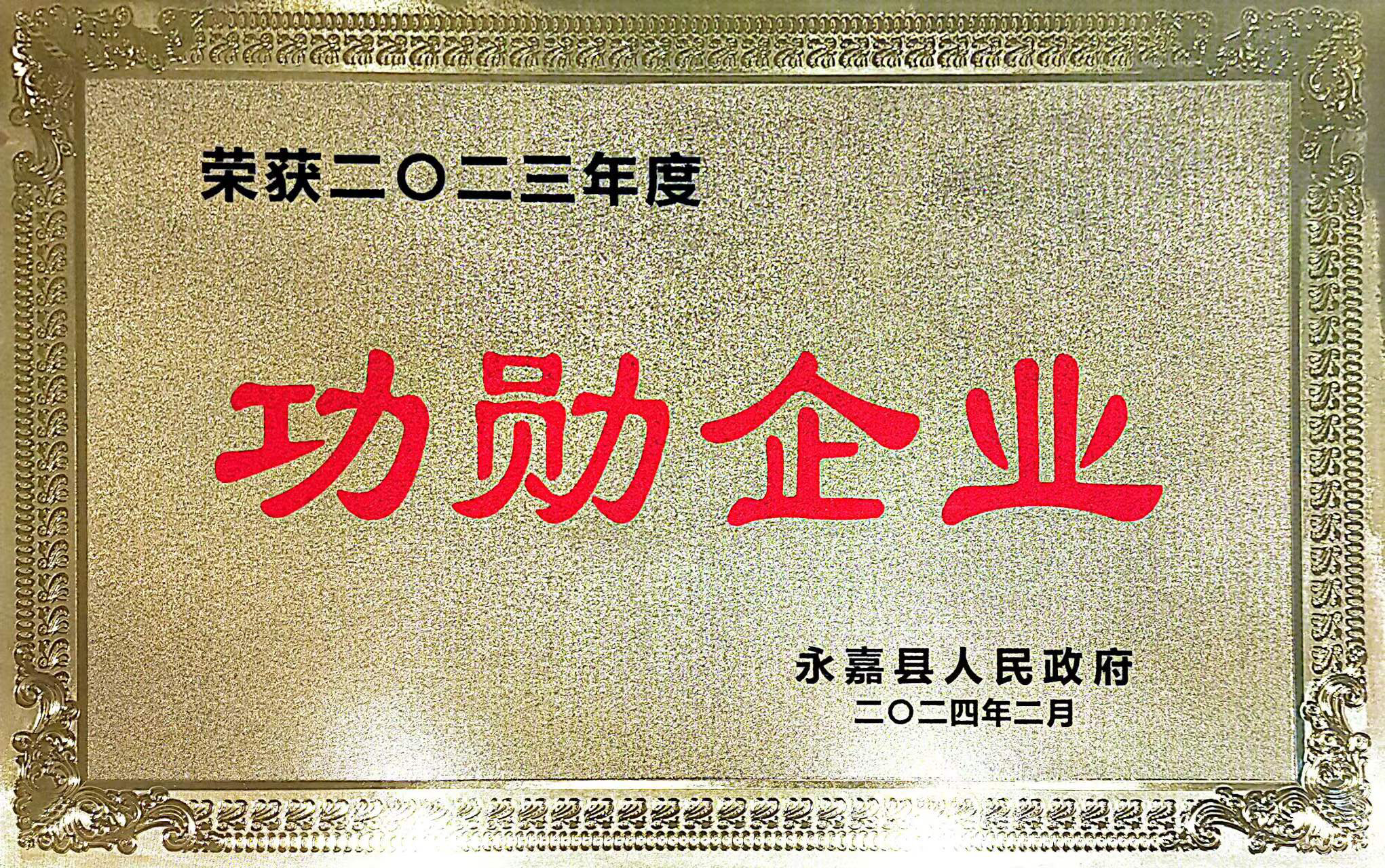 喜報！凱奇集團榮獲永嘉縣“功勛企業”等榮譽稱號