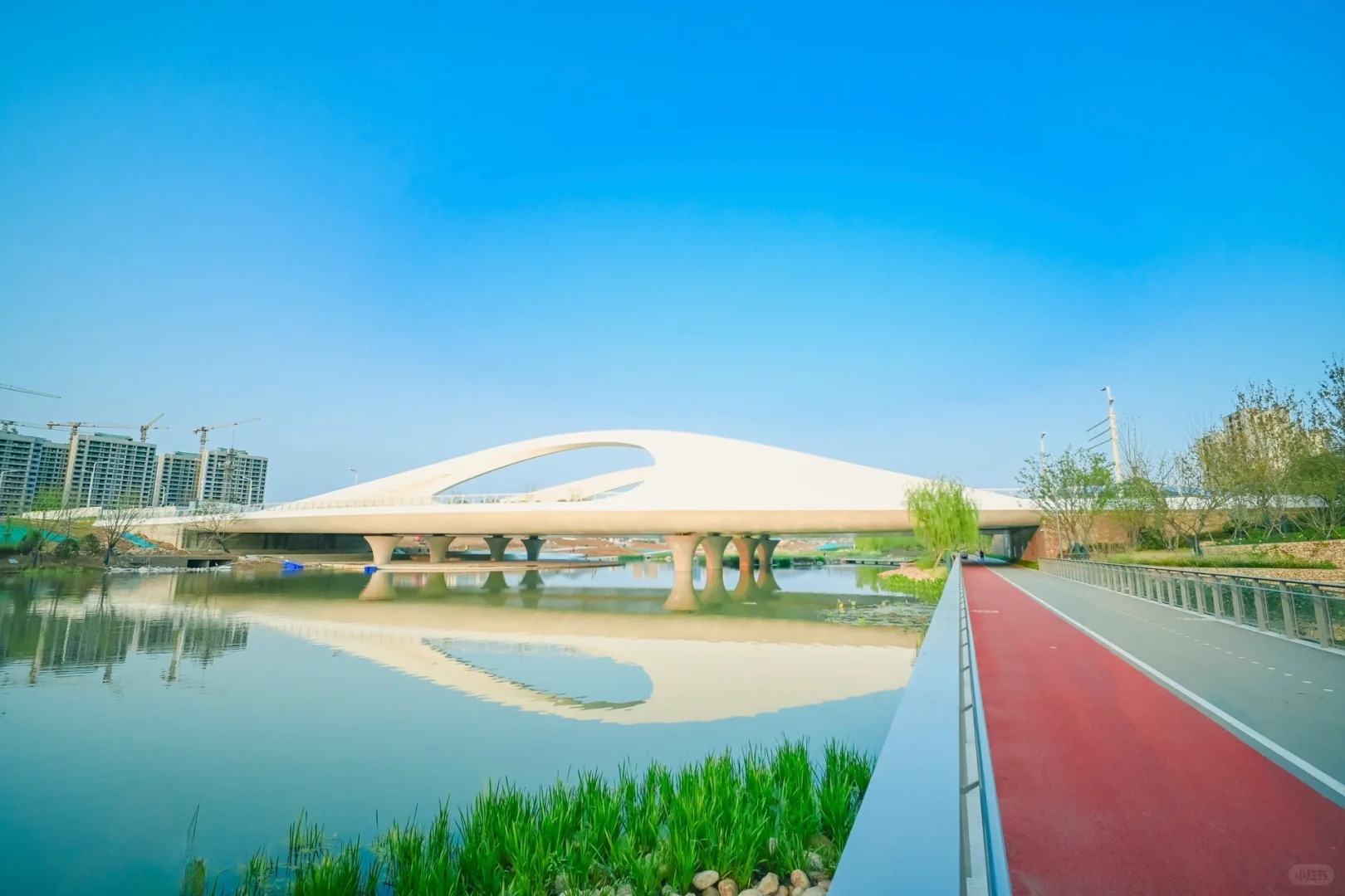 青島張村河生態公園 | 置身自然秘境，做綠色童年的探尋者