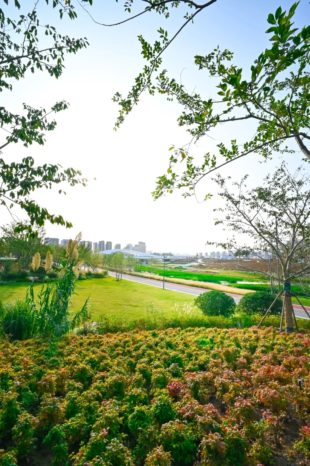 青島張村河生態公園 | 置身自然秘境，做綠色童年的探尋者