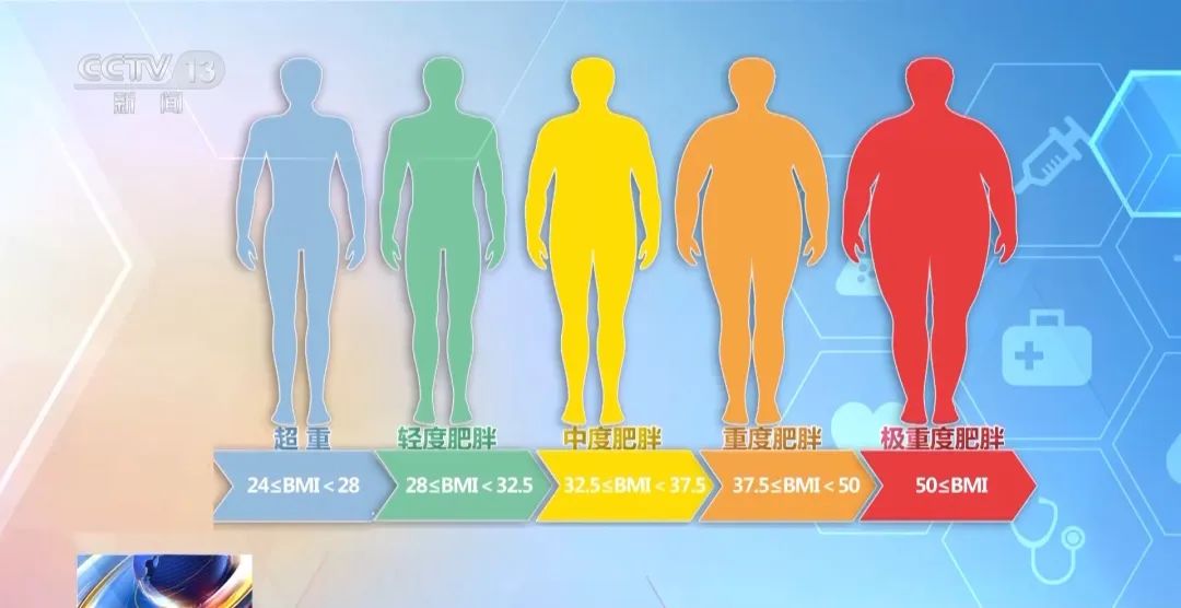 無動力游樂設備：助力兒童體重管理，打造健康快樂童年