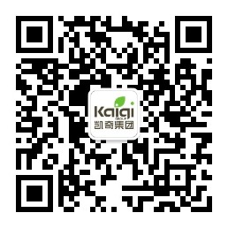 秋千蕩進元宇宙：無動力游樂設施的AR變革